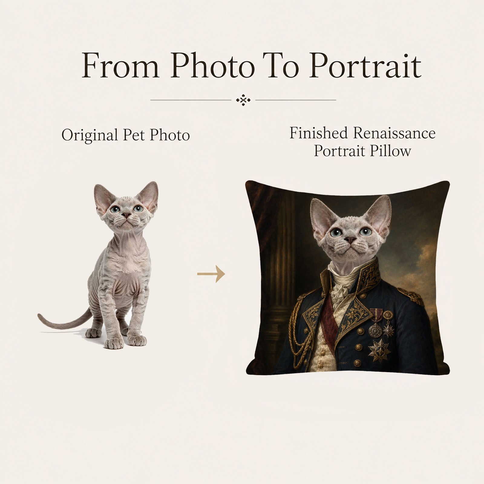 Original cat photo transformed into a personalized Victorian military portrait pillow cover with professionally enhanced custom artwork
