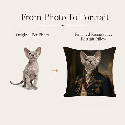 Original cat photo transformed into a personalized Victorian military portrait pillow cover with professionally enhanced custom artwork