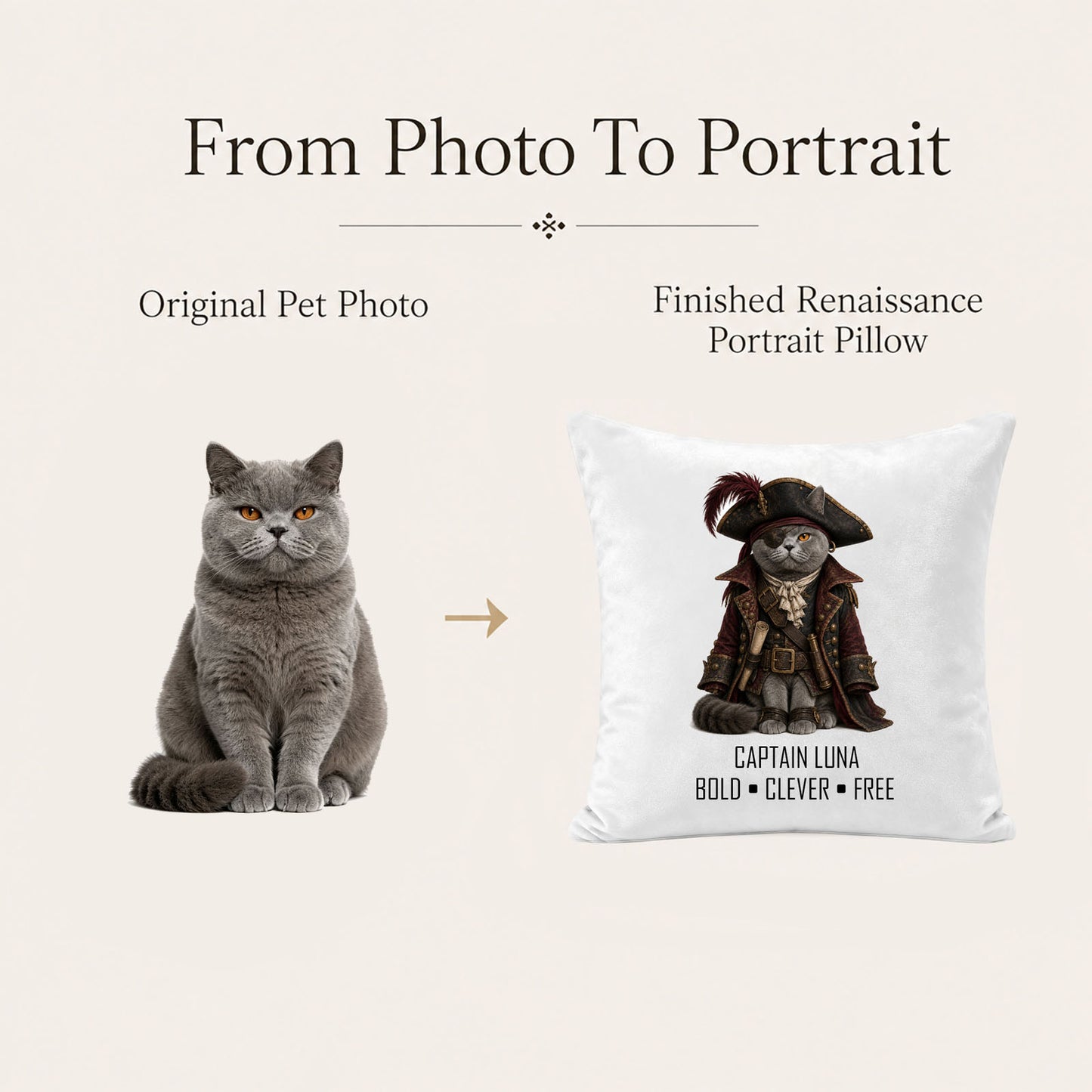 Cat photo transformed into a personalized pirate pet portrait pillow cover and one-of-a-kind keepsake