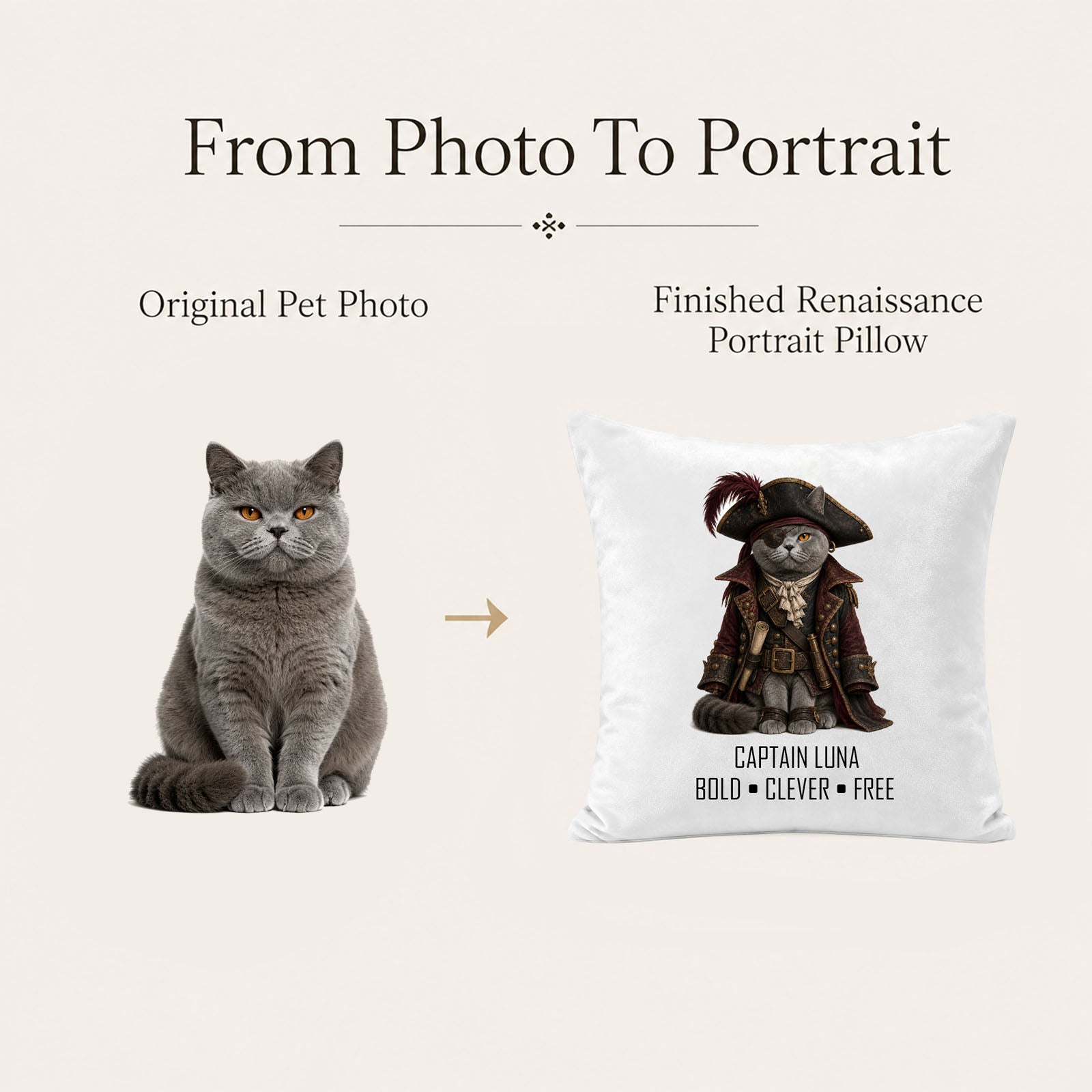 Cat photo transformed into a personalized pirate pet portrait pillow cover and one-of-a-kind keepsake