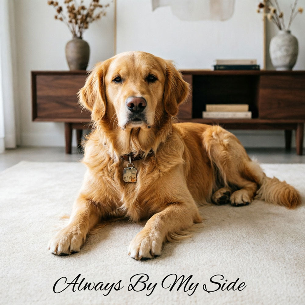 A serene golden retriever lying on a soft rug in a modern living room, with the phrase 'Always By My Side' beneath — ideal for custom pet memorial pillows and tribute decor.