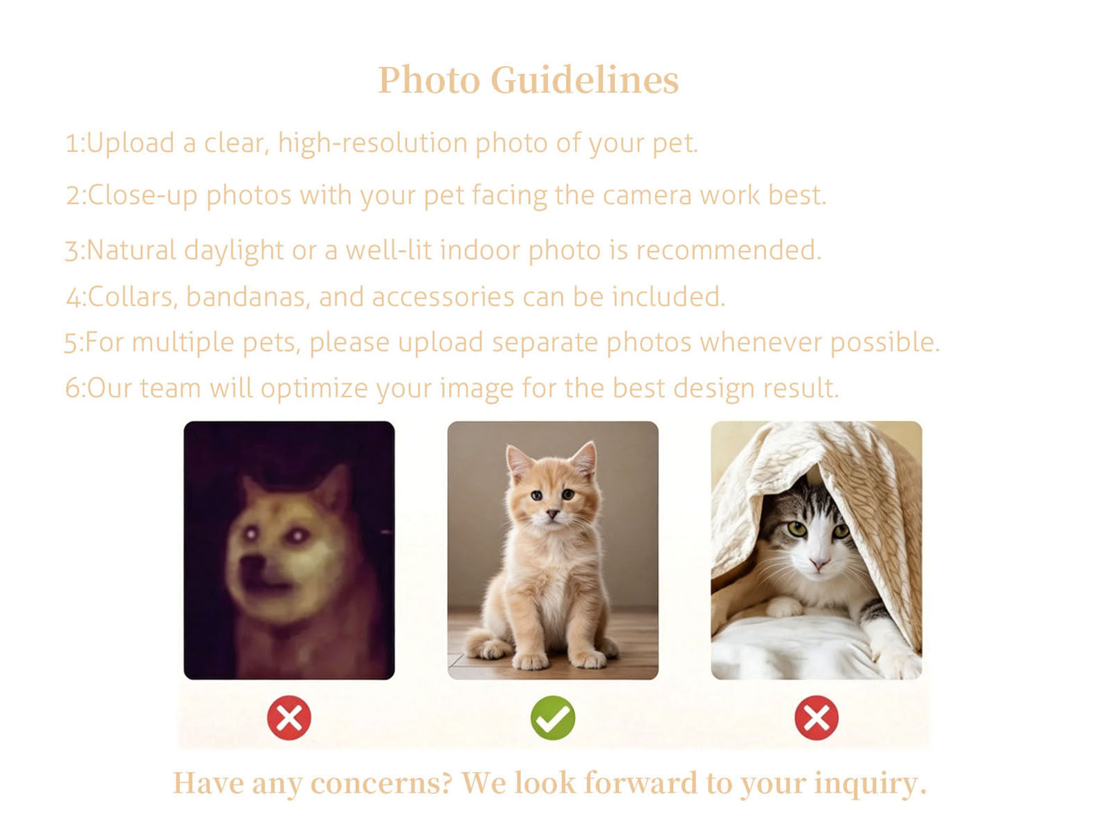 Photo guidelines for custom pet portrait pillows: tips on clear, well-lit close-up pet photos for the best personalized design results